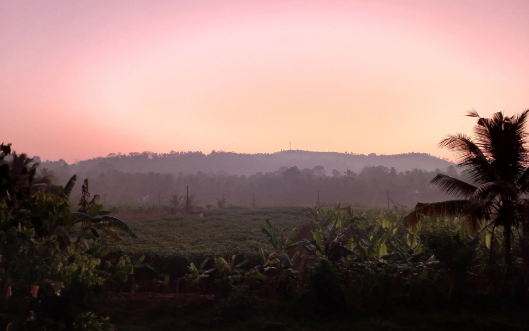 Explore Cherukara: FAQ ❓🌿